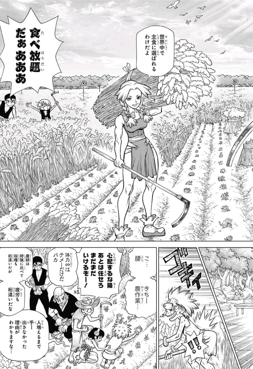 ドクターストーン 第94話 - 5