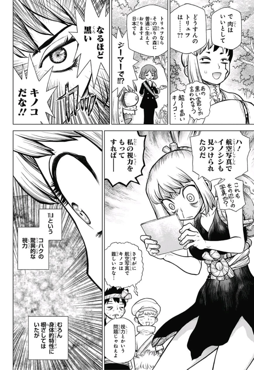 ドクターストーン 第94話 - 10