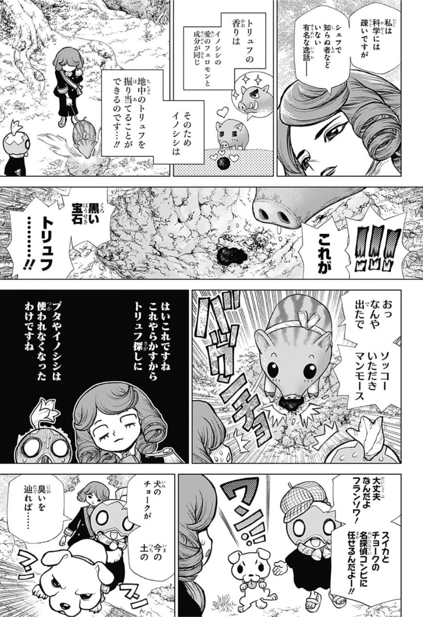 ドクターストーン 第94話 - 15