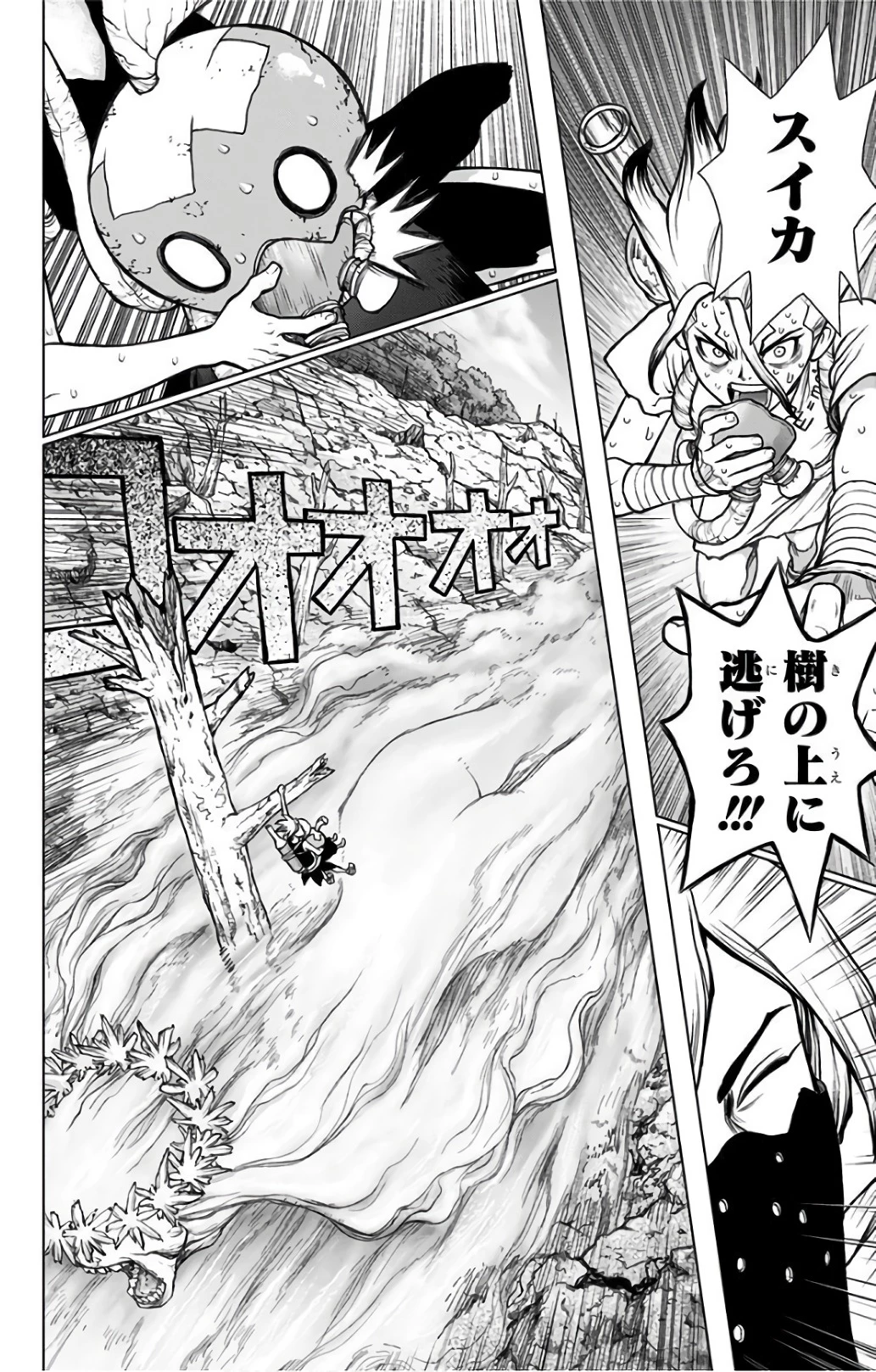 ドクターストーン 第49話 - 12