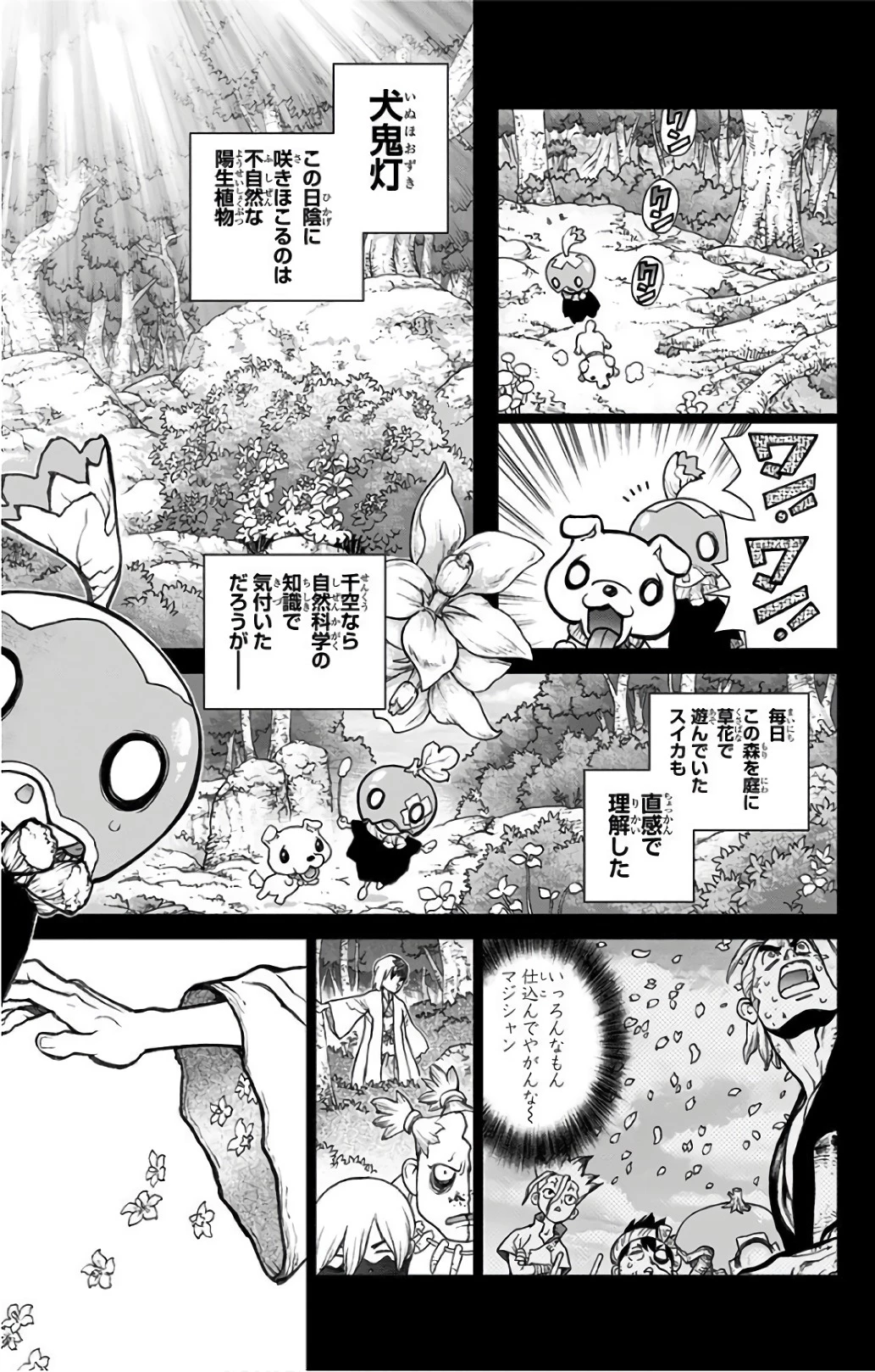 ドクターストーン 第48話 - 17