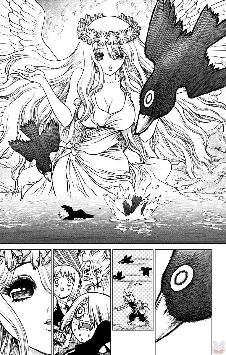 ドクターストーン 第30話 - 13