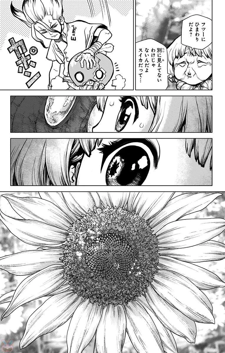 ドクターストーン 第28話 - 13