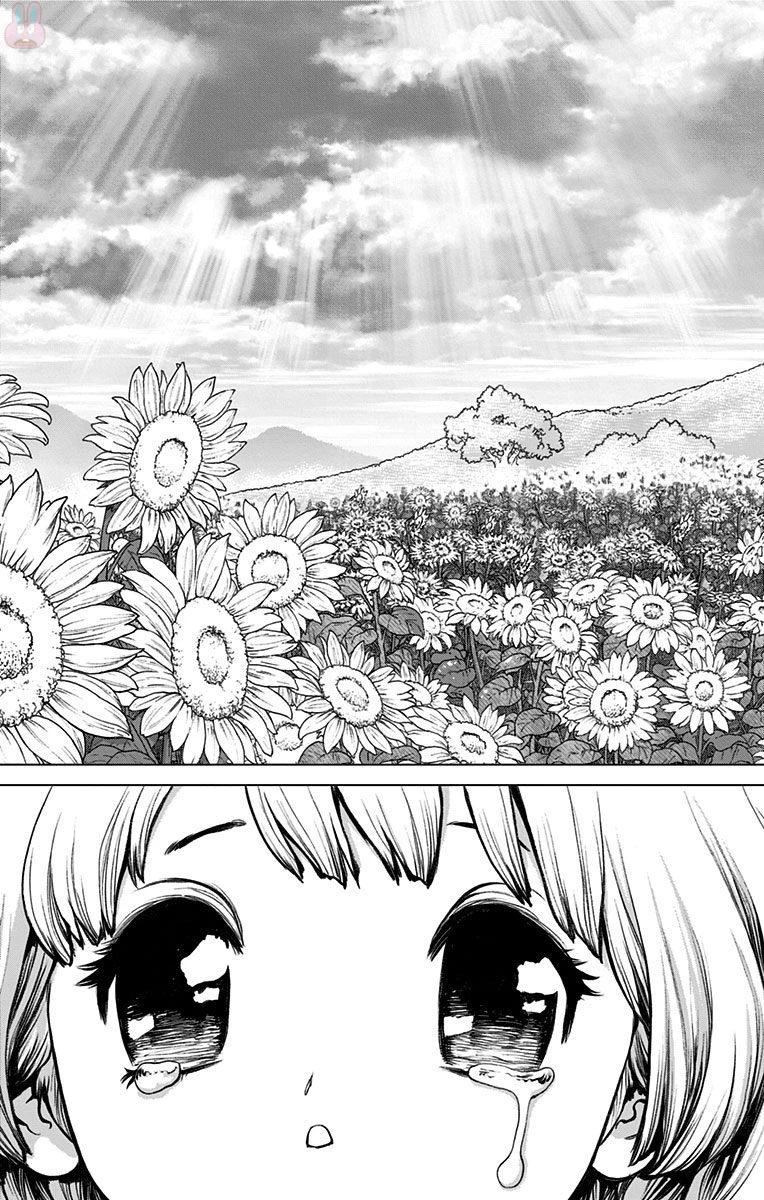 ドクターストーン 第28話 - 15