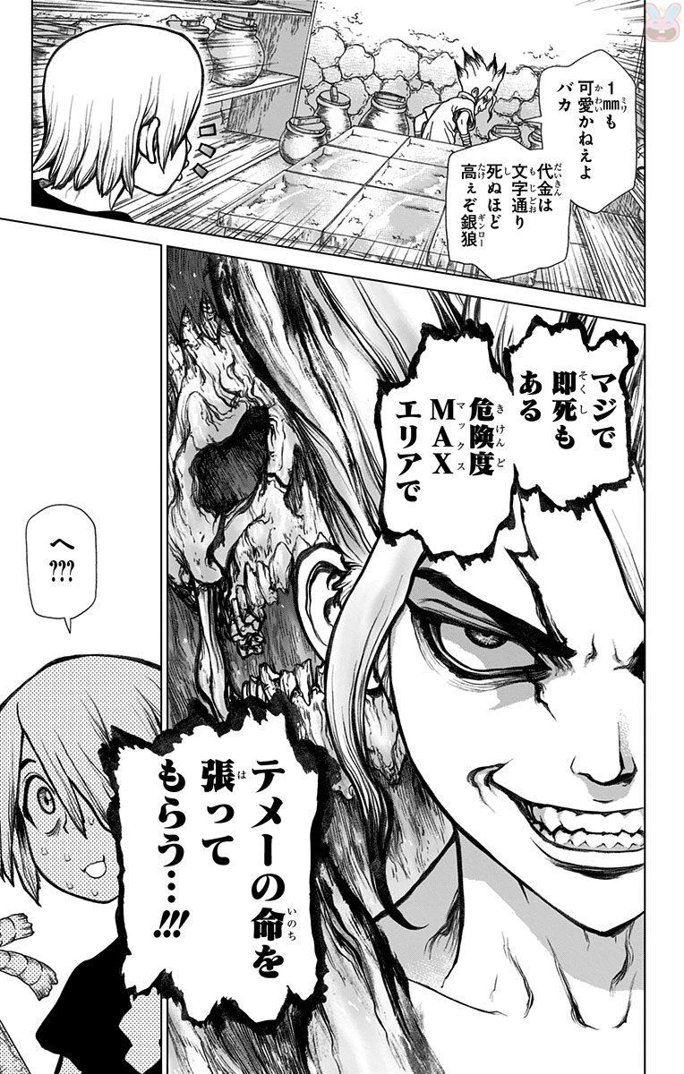 ドクターストーン 第29話 - 19