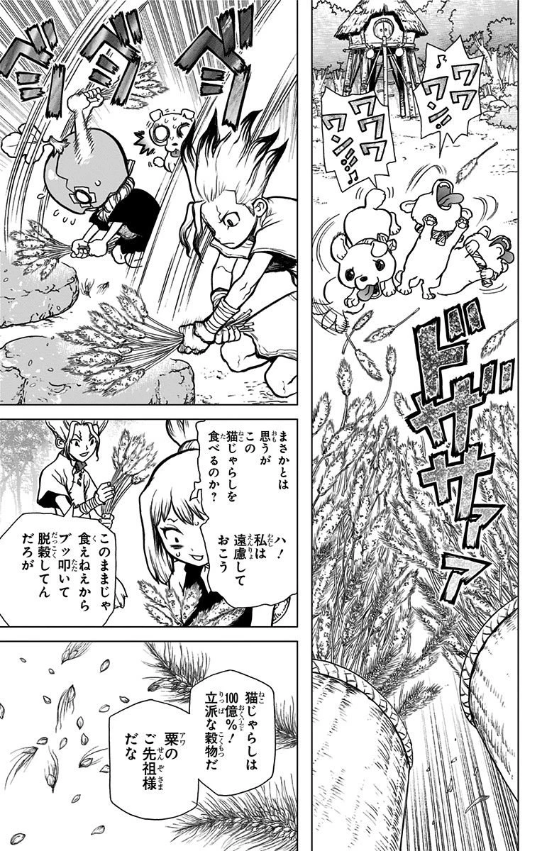 ドクターストーン 第22話 - 11