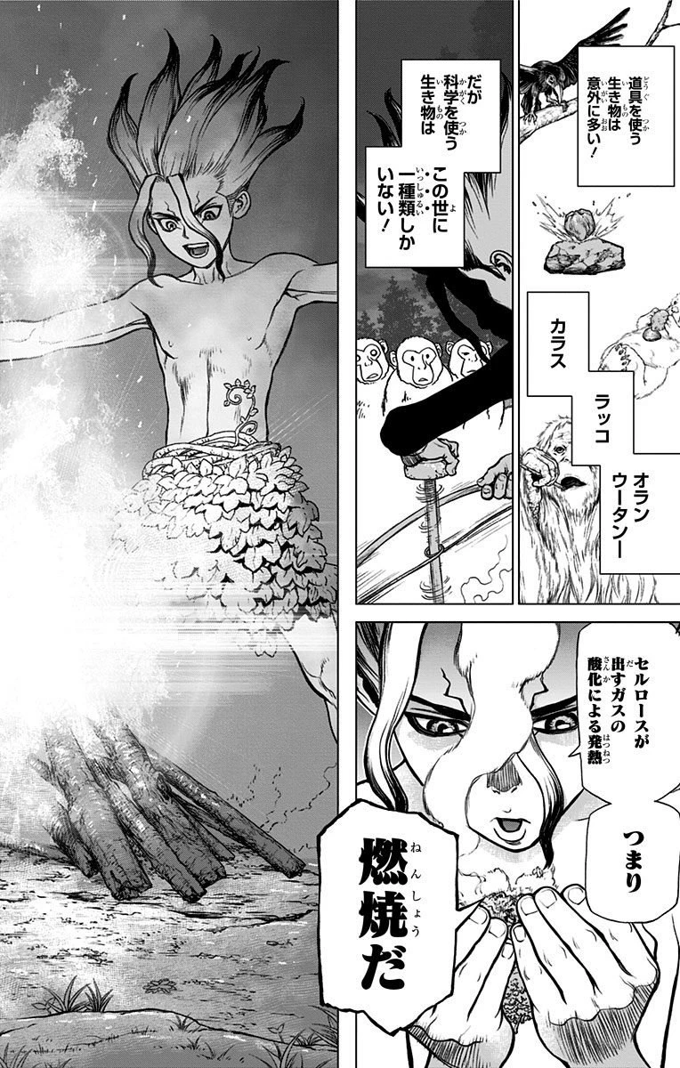 ドクターストーン 第13話 - 16