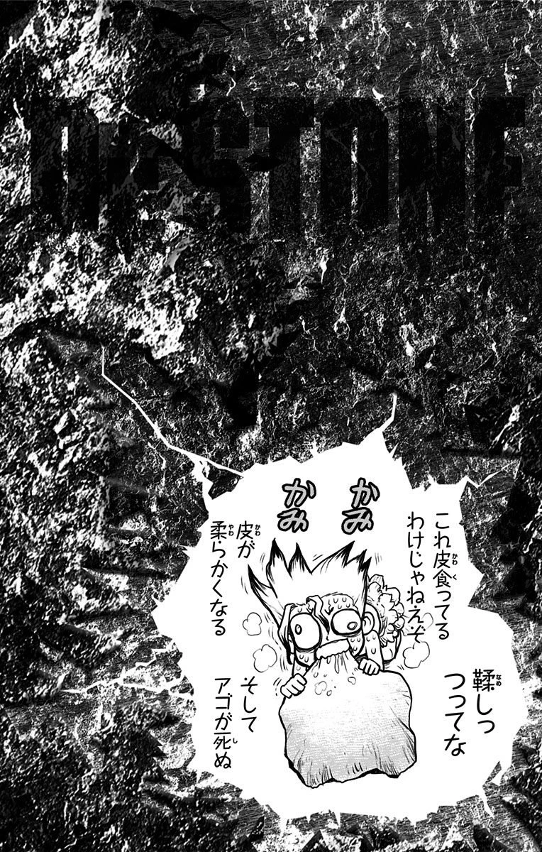 ドクターストーン 第13話 - 22