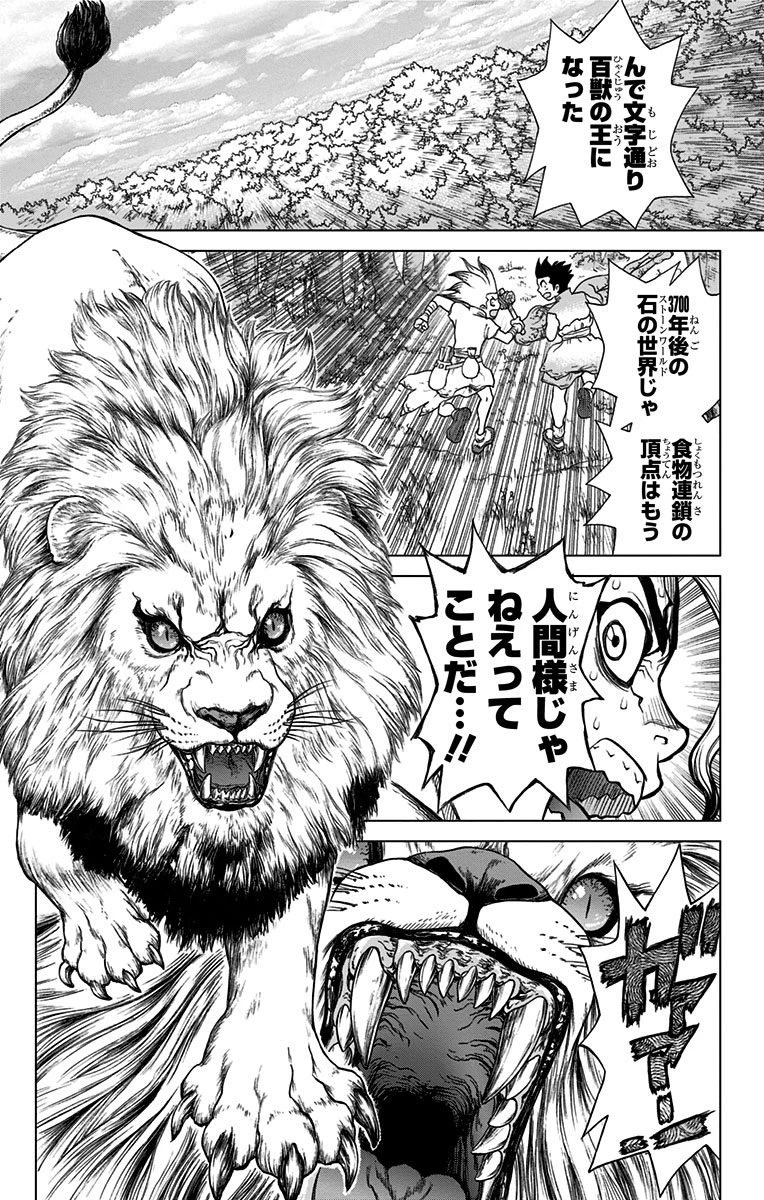 ドクターストーン 第3話 - 7