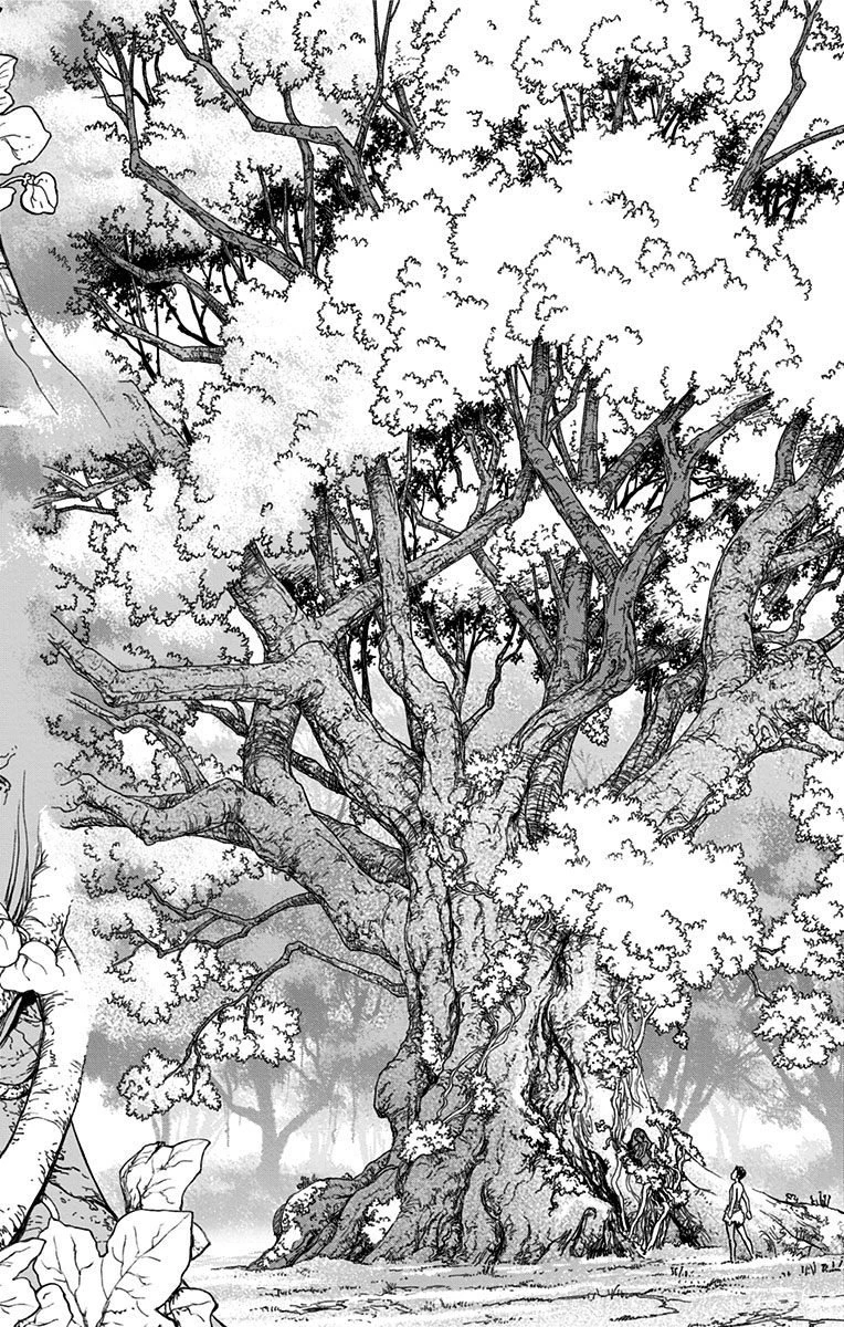 ドクターストーン 第1話 - 37