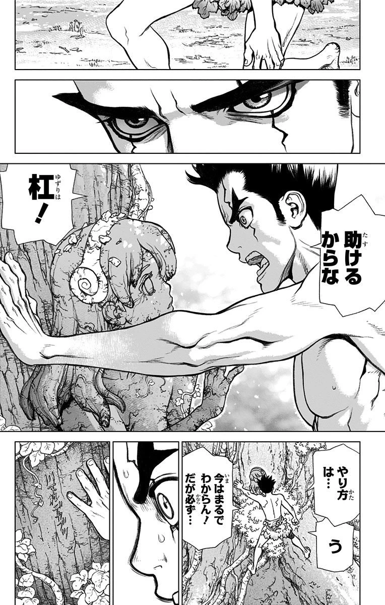 ドクターストーン 第1話 - 41