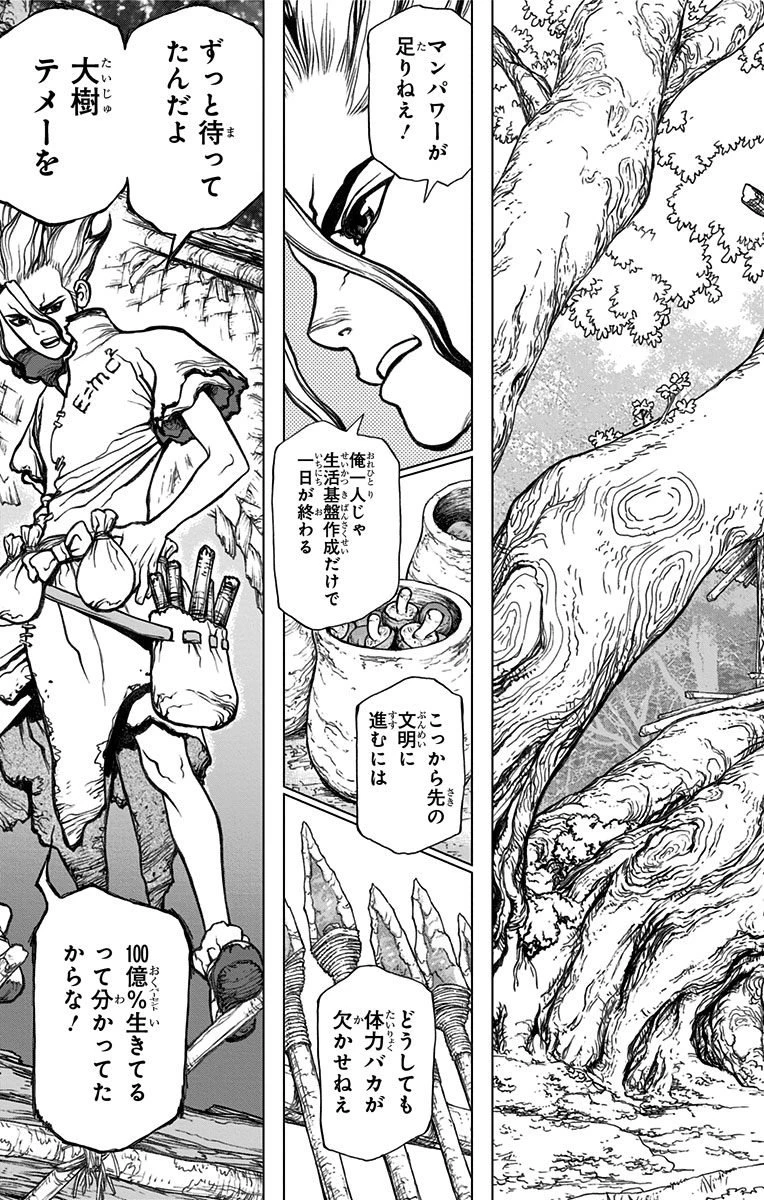 ドクターストーン 第1話 - 48