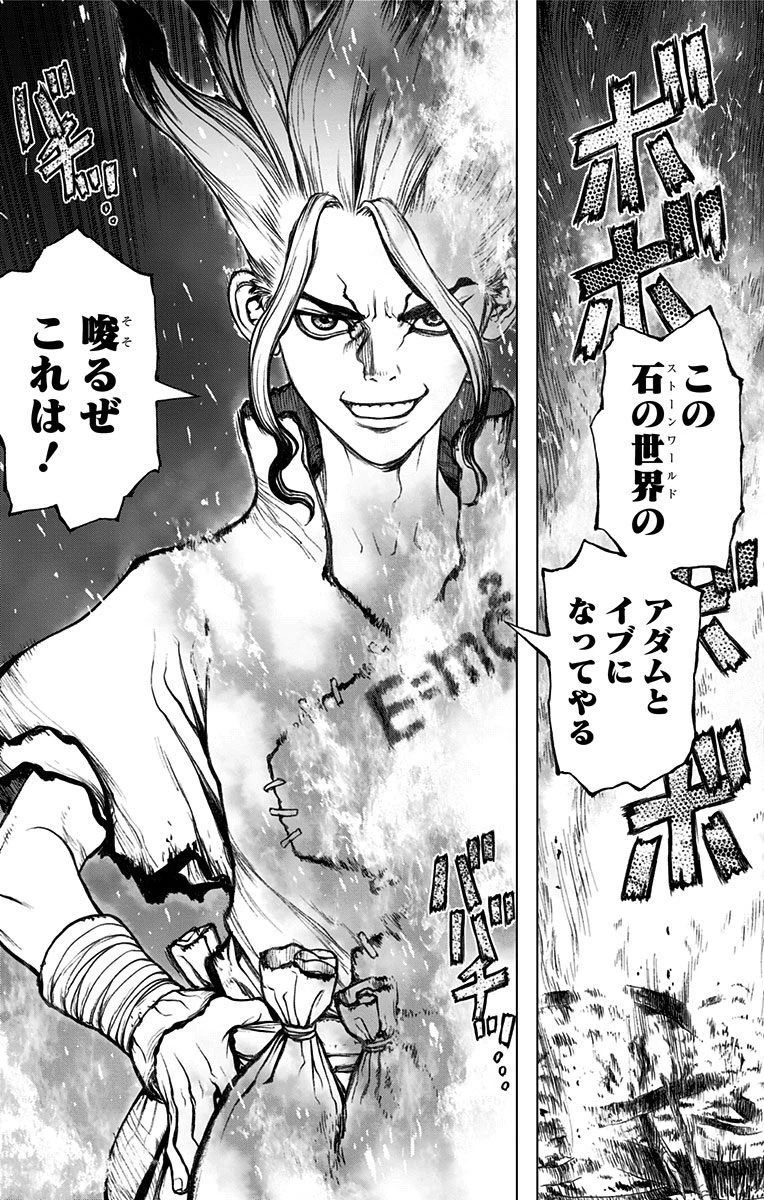 ドクターストーン 第1話 - 52