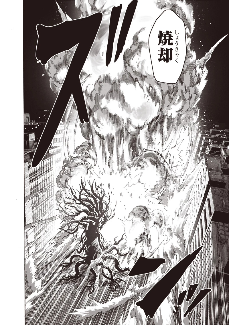 ワンパンマン 第230話 - 24