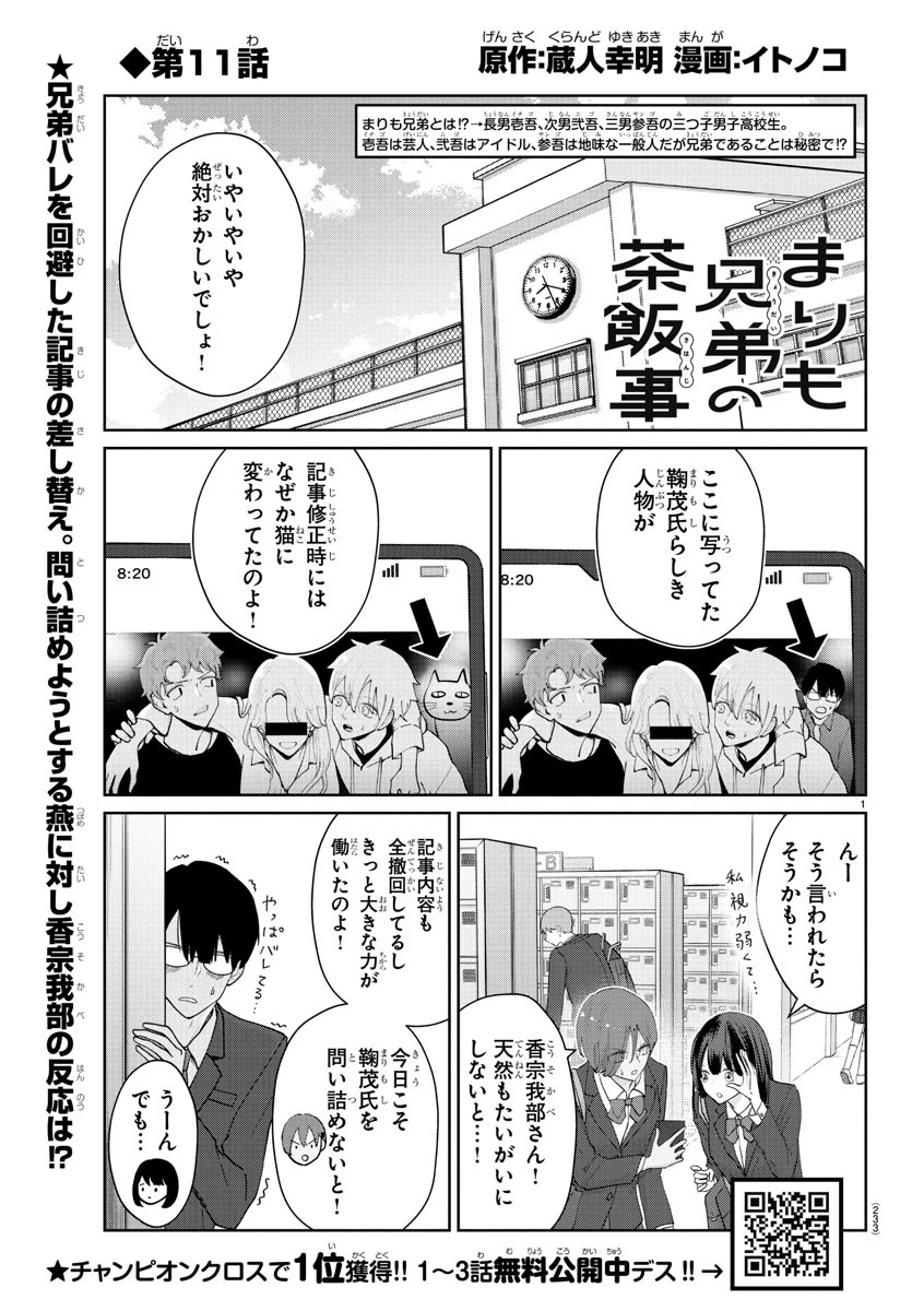まりも兄弟の茶飯事 第11話 - 1