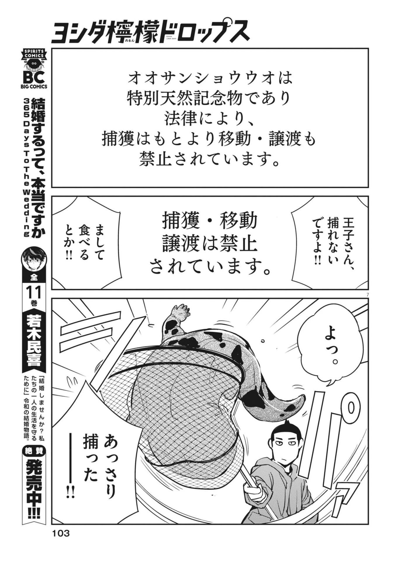 ヨシダ檸檬ドロップス 第4話 - 7