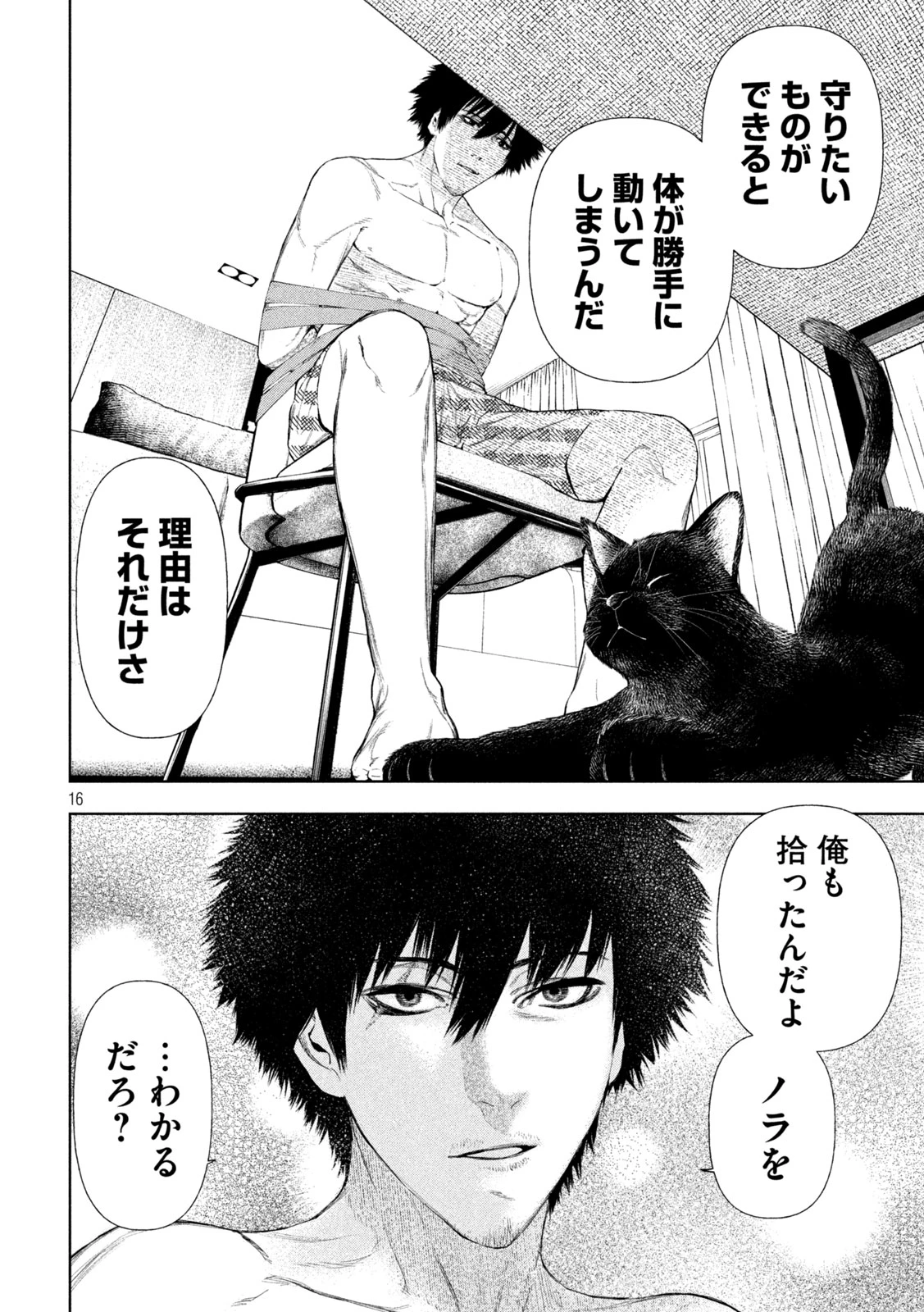 アマチュアビジランテ 第11話 - 16