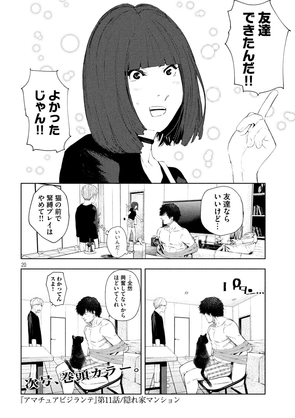 アマチュアビジランテ 第11話 - 20