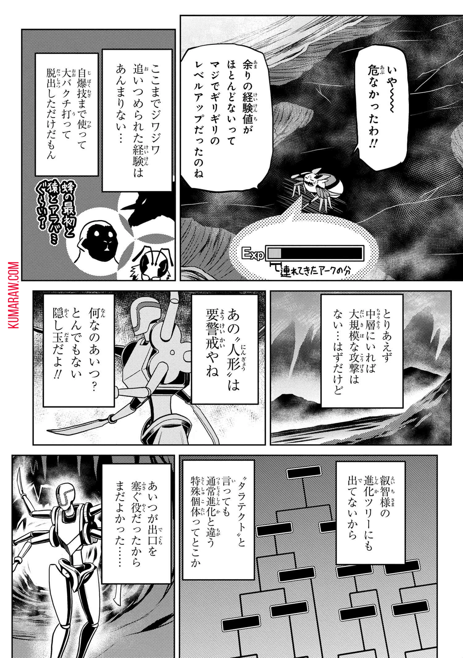 蜘蛛ですが、なにか? 第42話 - 8
