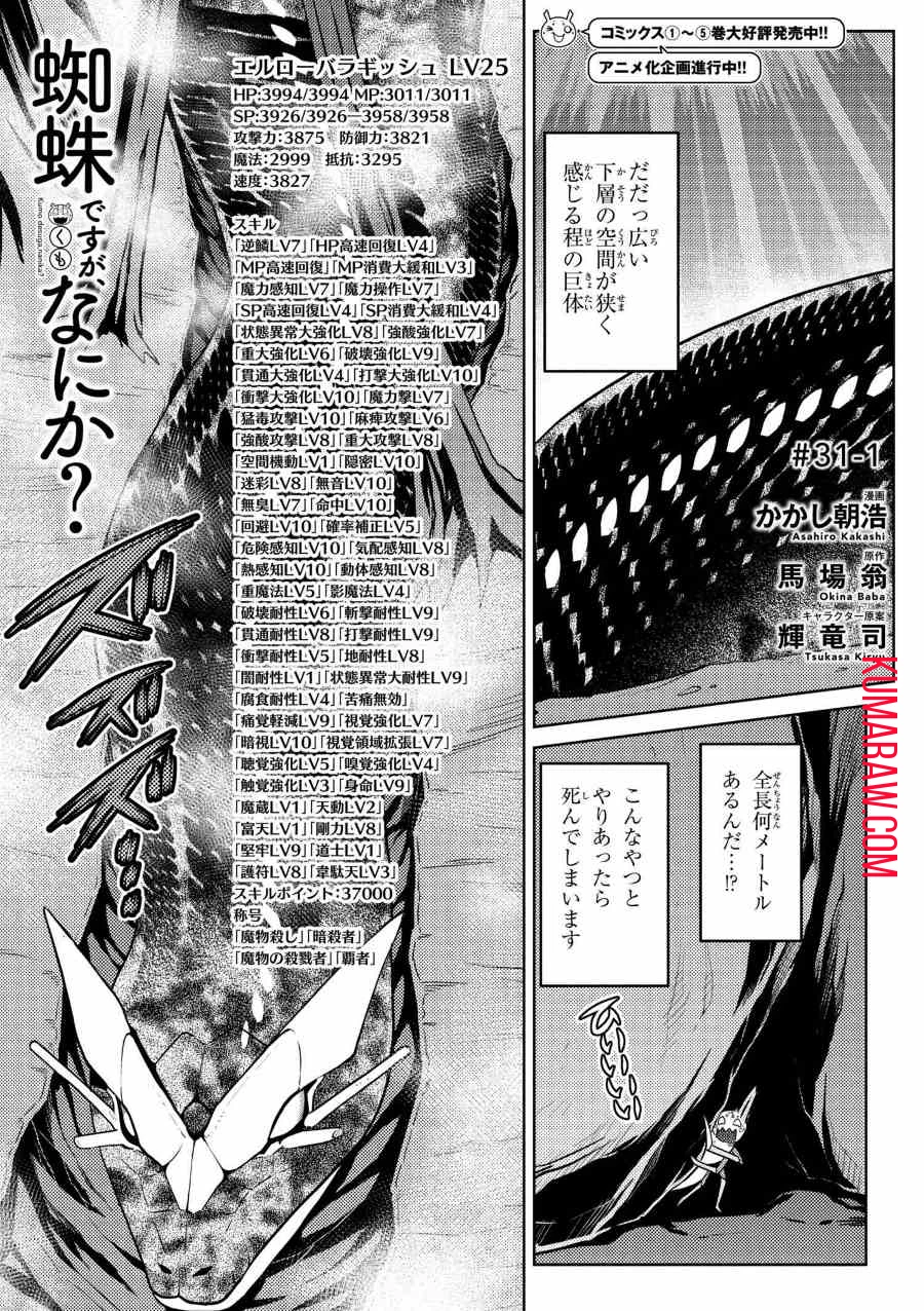 蜘蛛ですが、なにか? 第31話 - 1