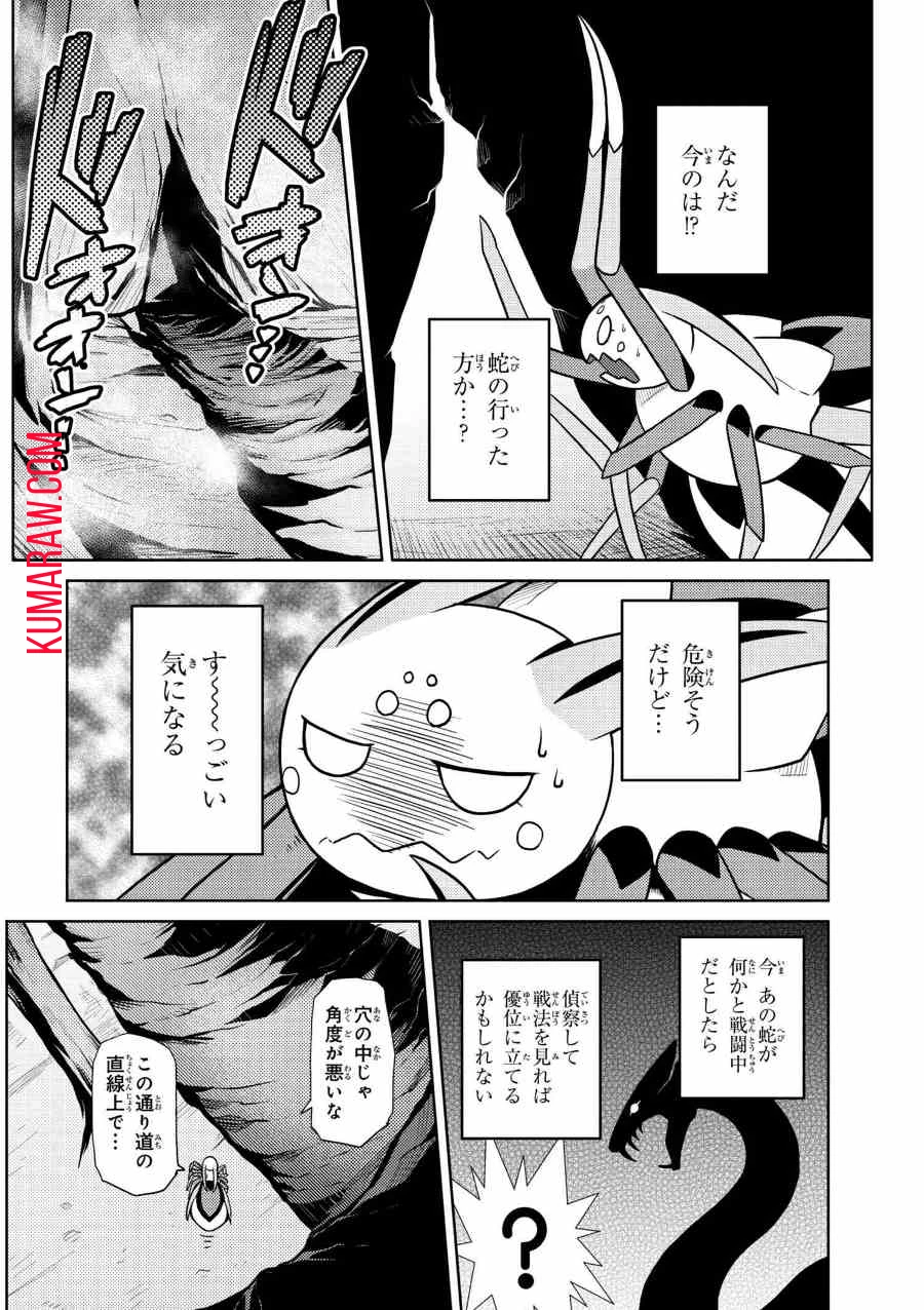 蜘蛛ですが、なにか? 第31話 - 4