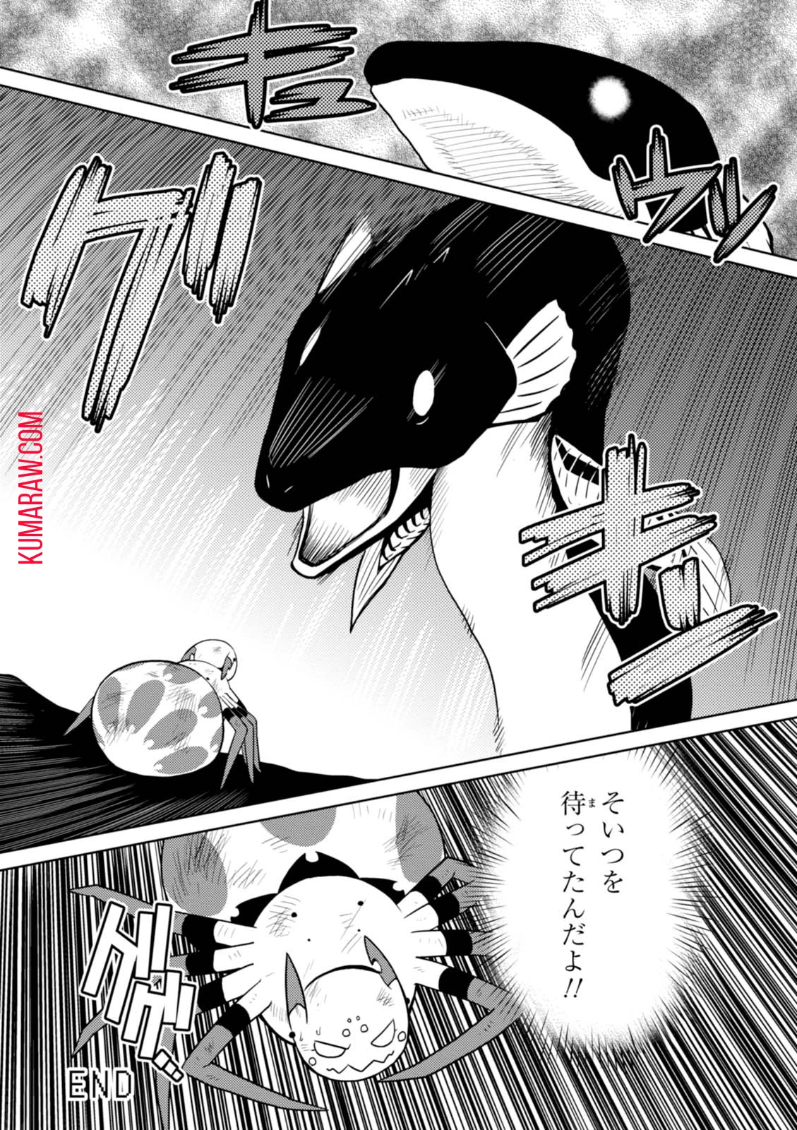 蜘蛛ですが、なにか? 第21話 - 16