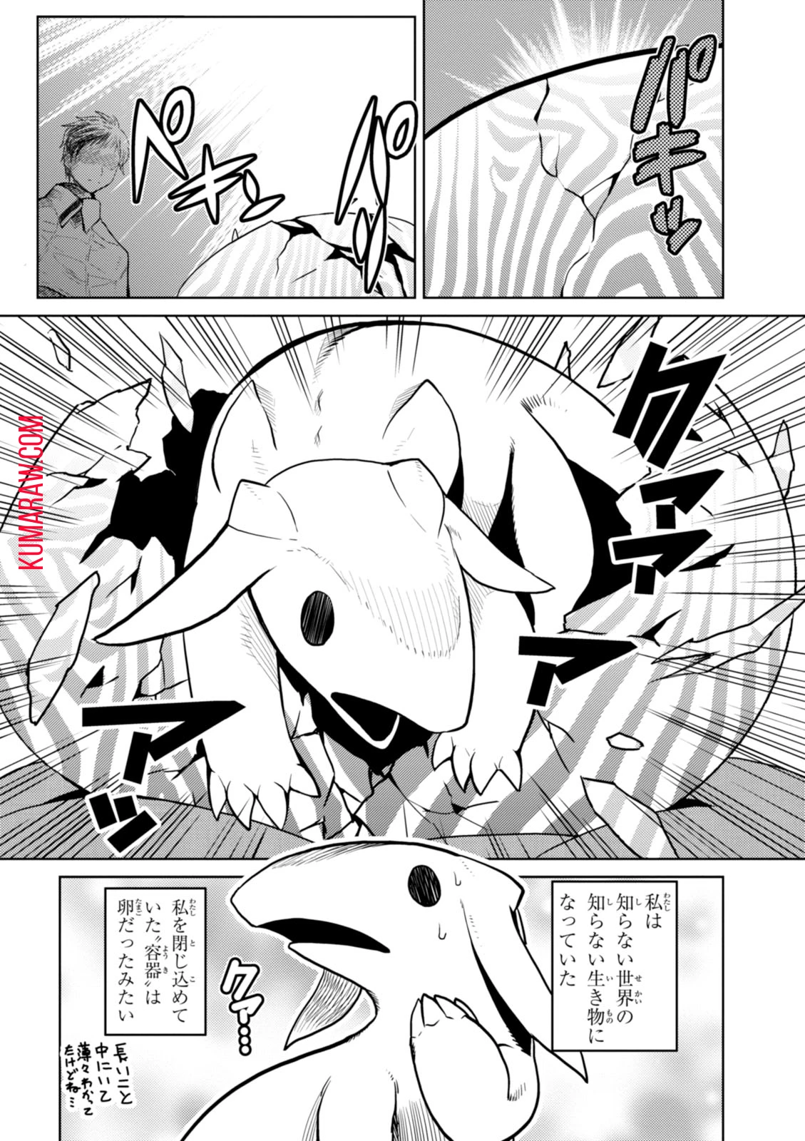 蜘蛛ですが、なにか? 第19話 - 24