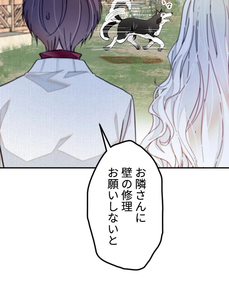 この嘘は致し方ないでしょう？ 第71話 - 14