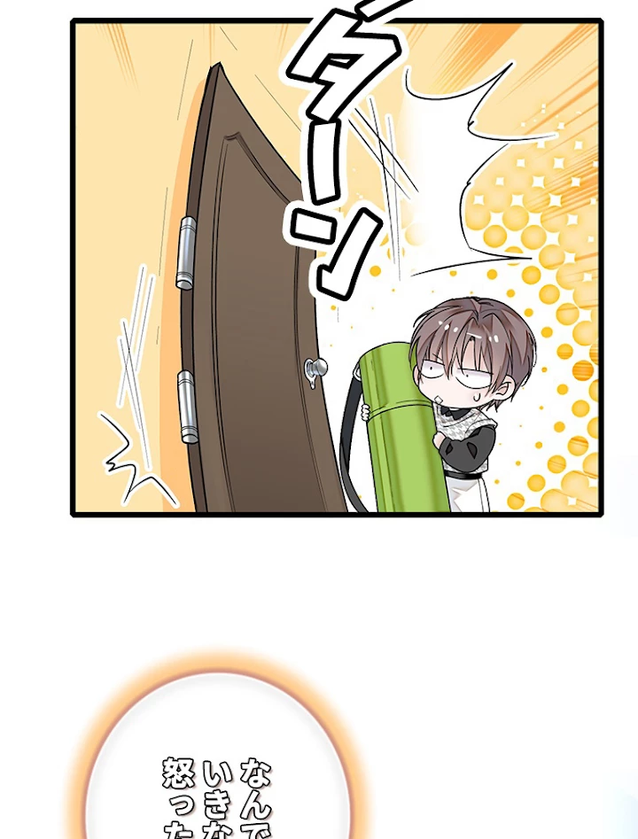 この嘘は致し方ないでしょう？ 第30話 - 48