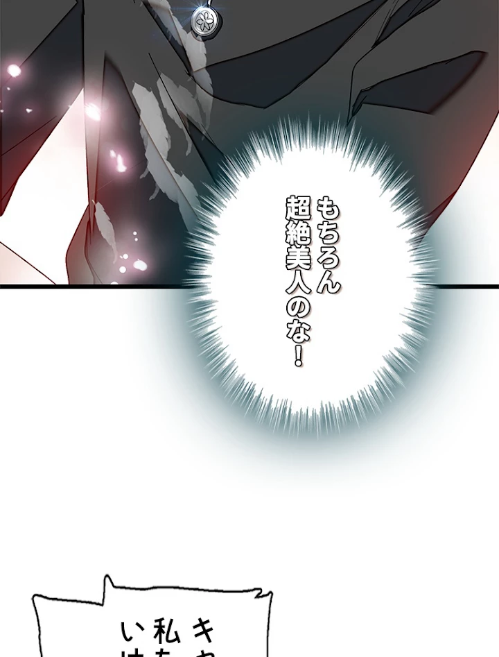 この嘘は致し方ないでしょう？ 第11話 - 44