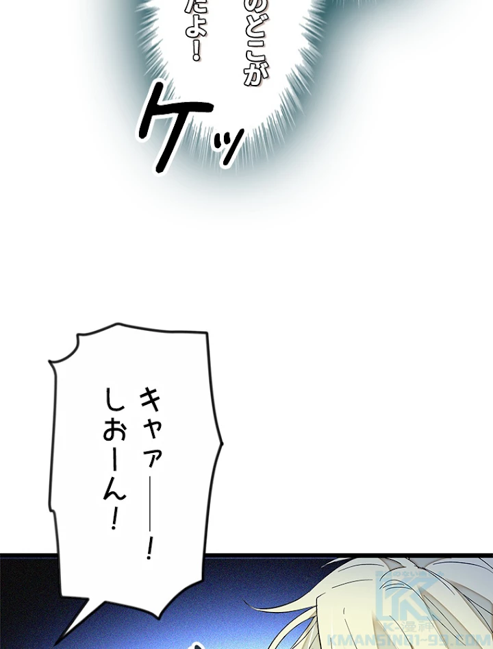 この嘘は致し方ないでしょう？ 第11話 - 46