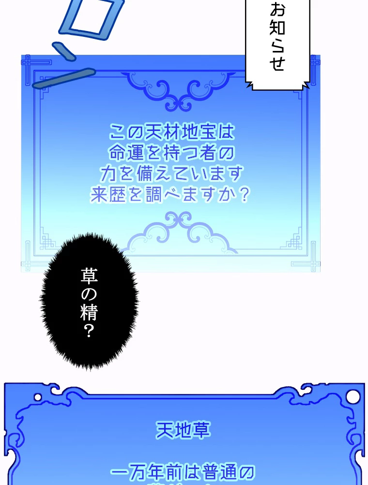 修業マニアはゲームマスター？ 96話 - 24