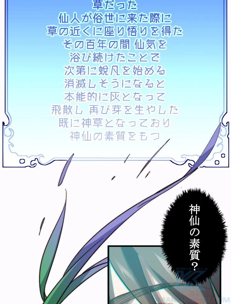 修業マニアはゲームマスター？ 96話 - 25