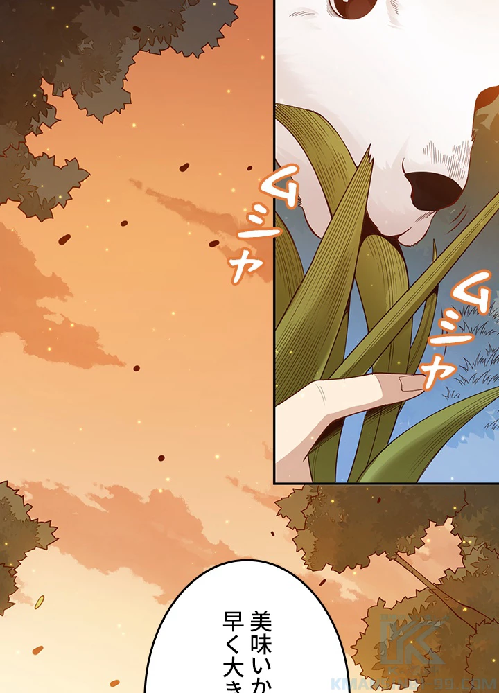 ロベル〜ウォースピリットの継承者〜 178話 - 34