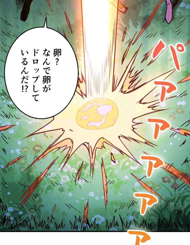 神災級ハンターの帰還 17話 - 63