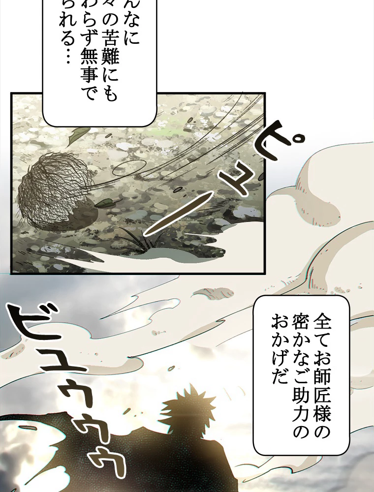 修業マニアはゲームマスター？ 73話 - 42