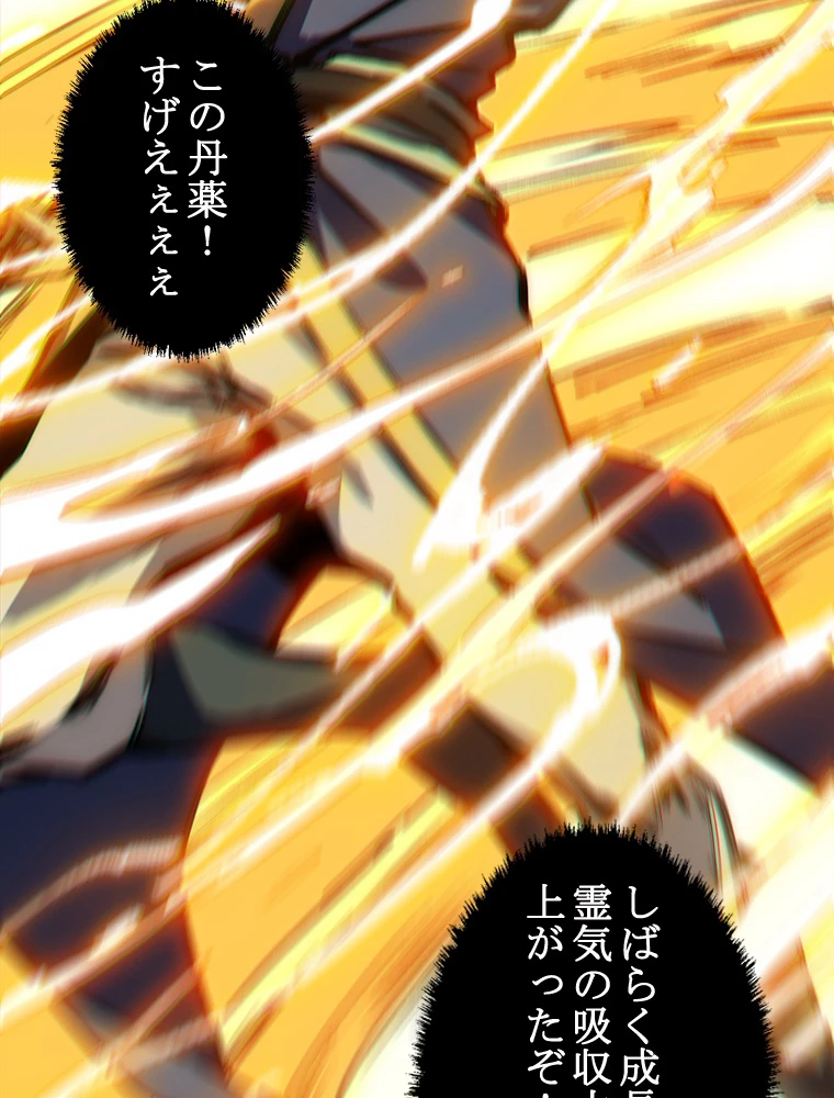 修業マニアはゲームマスター？ 48話 - 26