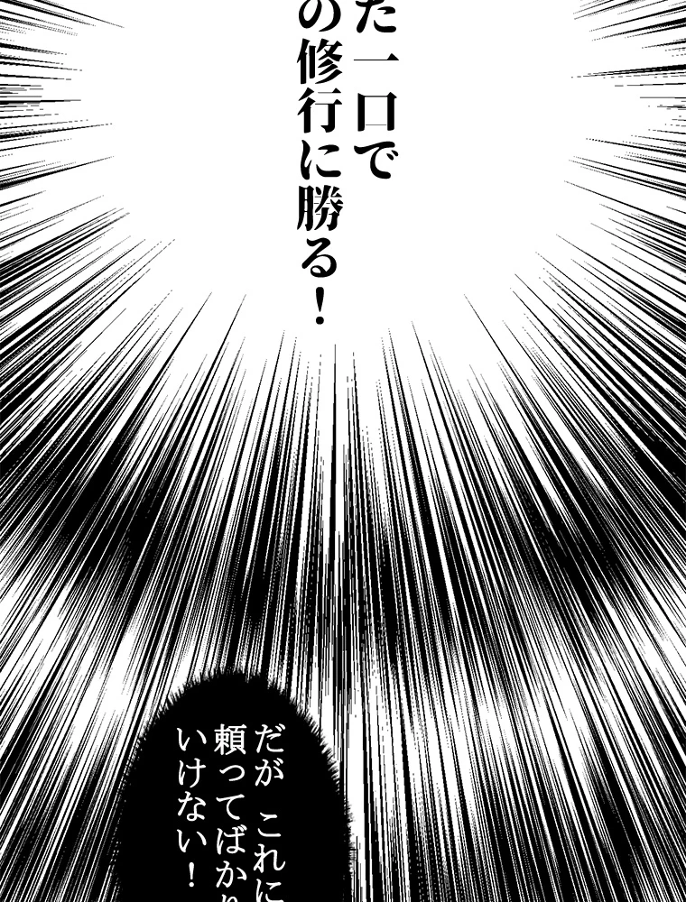 修業マニアはゲームマスター？ 48話 - 29