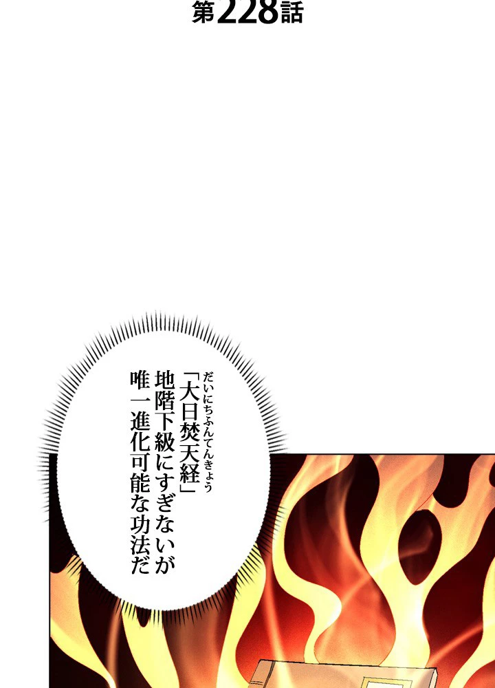 絶世の武魂 228話 - 2