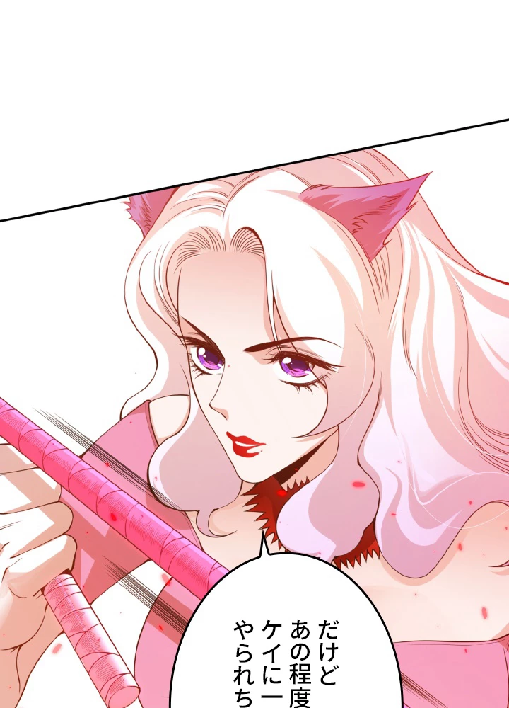 ロベル〜ウォースピリットの継承者〜 136話 - 51