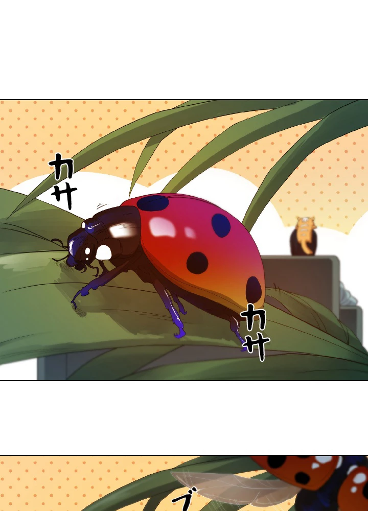 ロベル〜ウォースピリットの継承者〜 22話 - 30