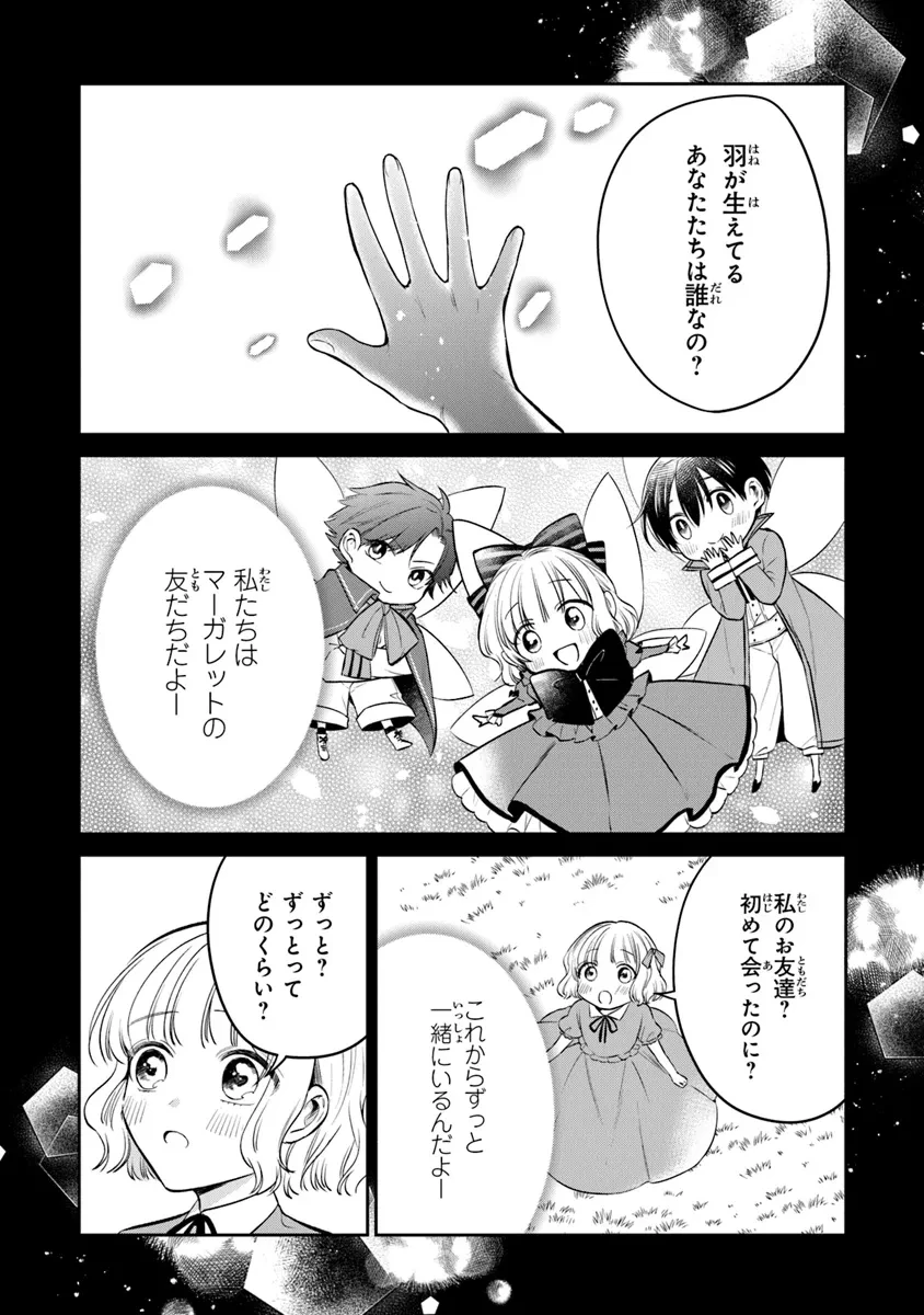 義妹が聖女だからと婚約破棄されましたが、私は妖精の愛し子です 第24話 - 2