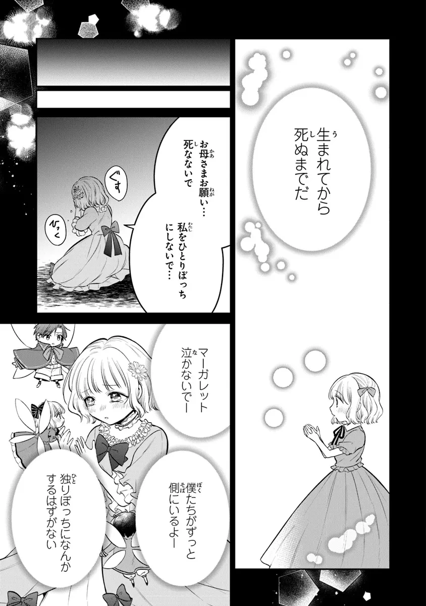義妹が聖女だからと婚約破棄されましたが、私は妖精の愛し子です 第24話 - 3