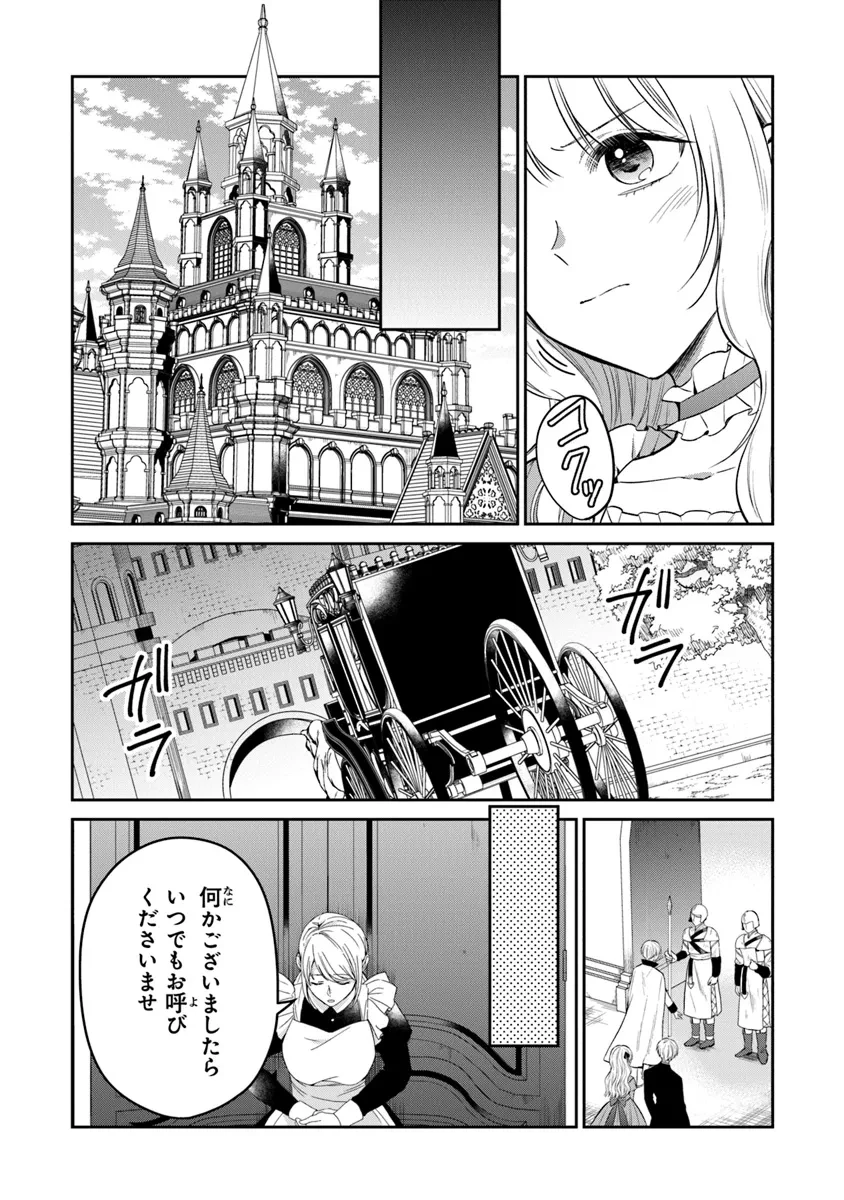 義妹が聖女だからと婚約破棄されましたが、私は妖精の愛し子です 第24話 - 9