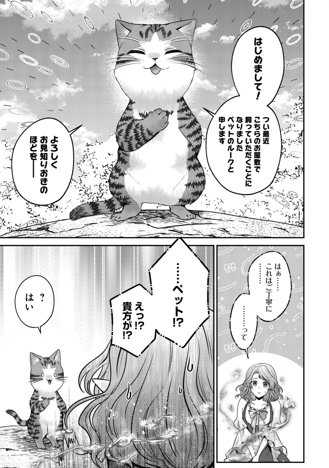 我輩は猫魔導師である～キジトラ・ルークの快適チート猫生活～ 第17話 - 5
