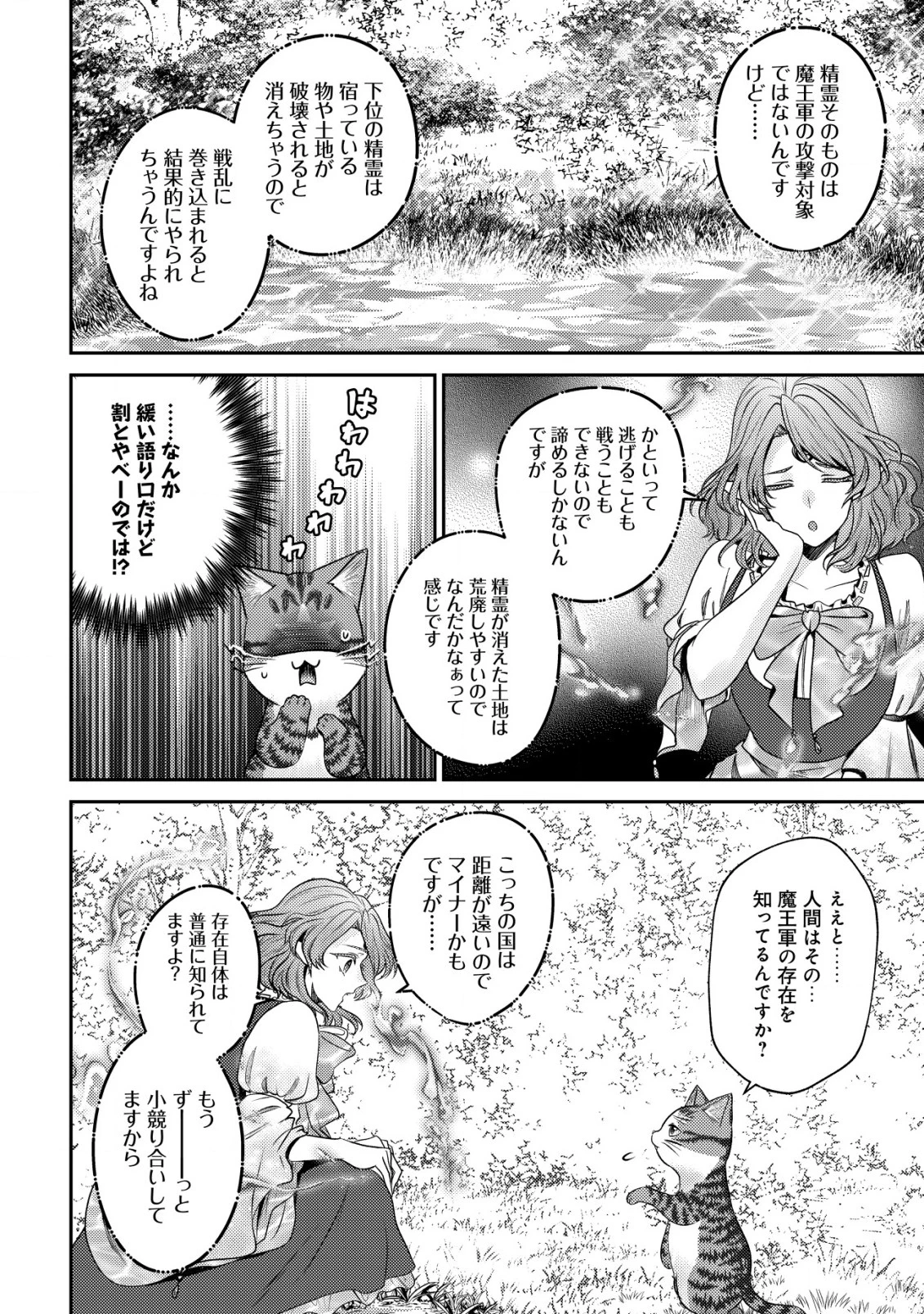 我輩は猫魔導師である～キジトラ・ルークの快適チート猫生活～ 第17話 - 12
