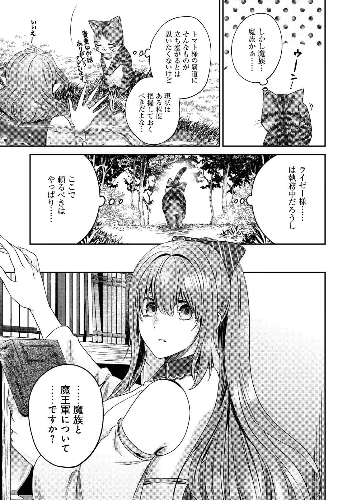 我輩は猫魔導師である～キジトラ・ルークの快適チート猫生活～ 第17話 - 17