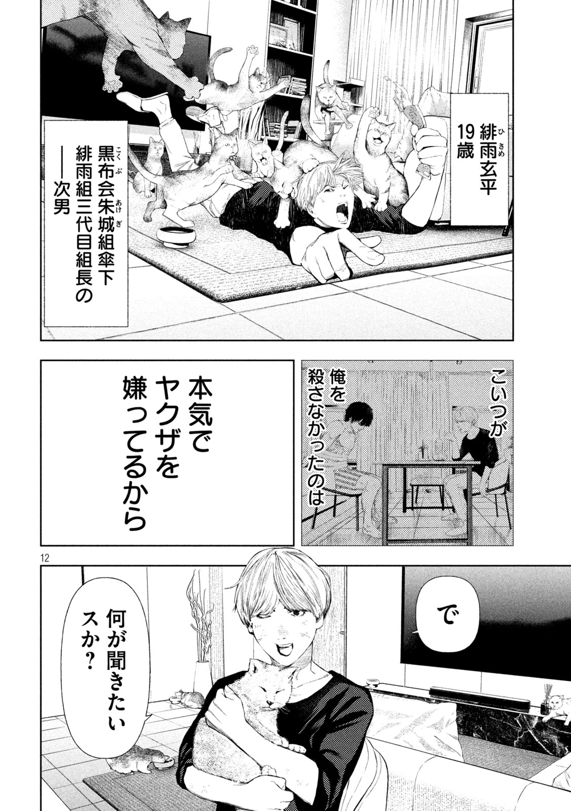 アマチュアビジランテ 第12話 - 12