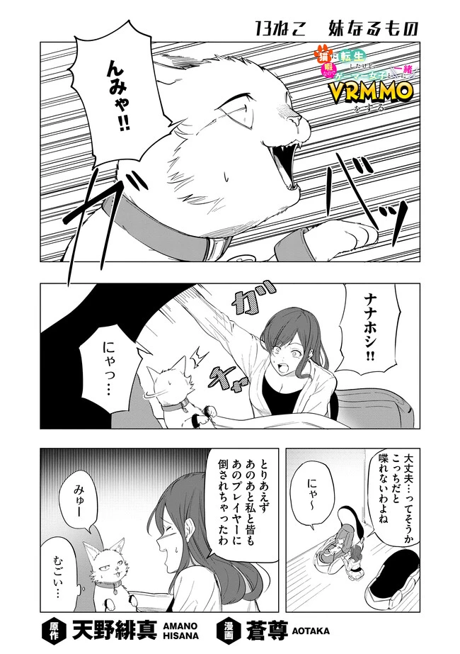 猫に転生したけど、暇なのでゲーマー女子と一緒にＶＲＭＭＯをする 第13話 - 1