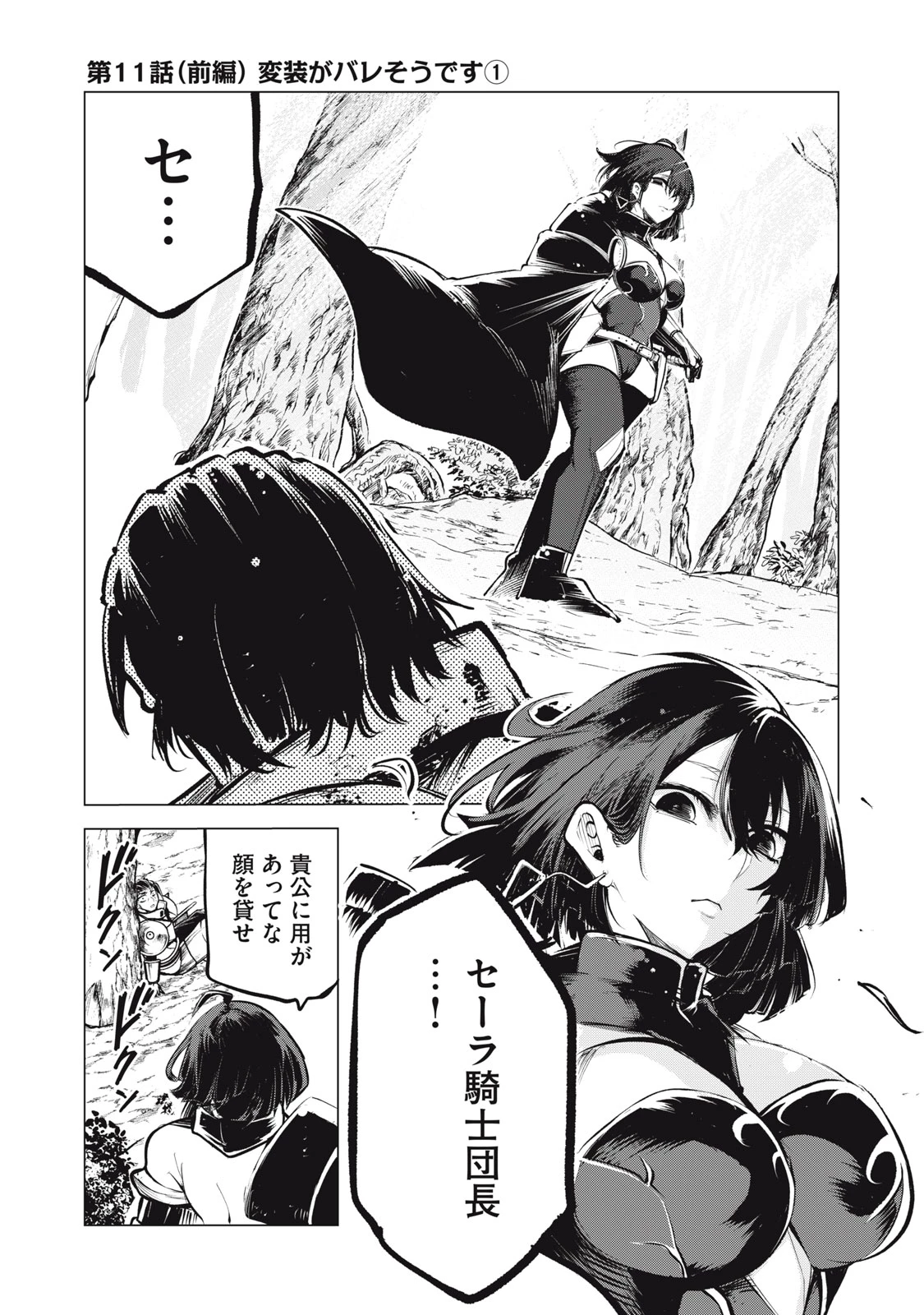 国を追われた竜師さん、拾われた隣国でうっかり無双してしまう。〜弱小国家が大陸最強の竜の楽園になるまで〜 第11話 - 1